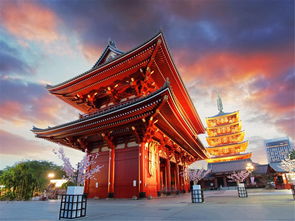 日本本州6或7日游 盛世京都 5晚優(yōu)質(zhì)酒店,miho美秀美術(shù)館,蔦屋書店,河口湖楓葉長(zhǎng)廊,高賴川二條苑料理,京都深度游覽 出發(fā) 途牛